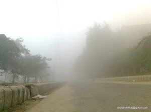 2012 Winter at my Place