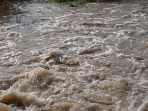 The Stream at Virudhunagar, India