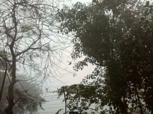 2013Winter-A Scene at backyard