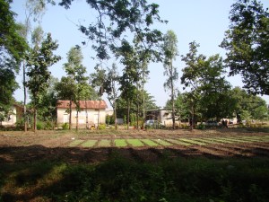 Lakali, Gujarath, India