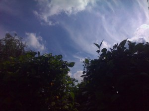 My Park-Dwarka, Delhi, India