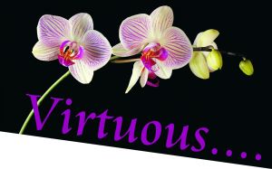Virtuous
