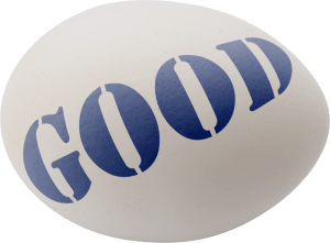 Creative Commons Attribution-ShareAlike 3.0 - Credit Required in the form: "Photography by User: MrX"