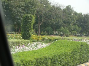 Hedges at the Shanthi Path, New Delhi