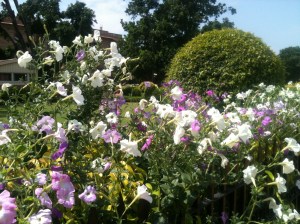 President House-Front