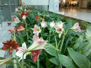 2013-04-10DelhiAirport