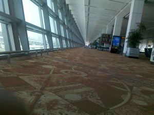 DelhiAirPort2013