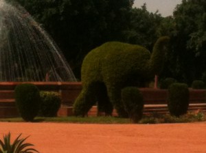 Raisina Hills Gardens, New Delhi, India
