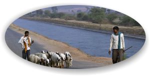 http://commons.wikimedia.org/wiki/File:Shepherds,_Chambal,_MP,_India.jpg