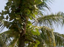 2013-08-30_10-16-27_836