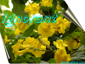 ignorant