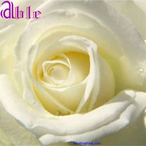 Courtesy Picture : Ioana Maria - Oradea, Romania Courtesy Picture : Ioana Maria - Oradea, Romania