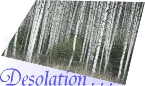 desolation