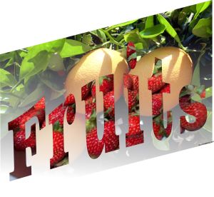 Fruits