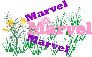 Marvel
