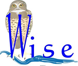 Wise03