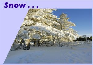 Snow