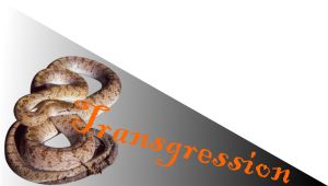 Snake picture - CorelDRAW X5 library