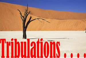 Pic. courtesy: CorelDraw X6 library.