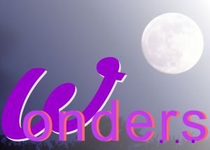 Wonders