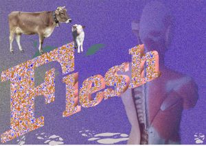 Anotomy courtesey: http://commons.wikimedia.org/wiki/File:Back_Anatomy_and_Medulla_Spinalis2.jpg