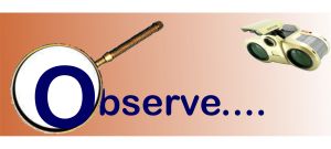 Observe