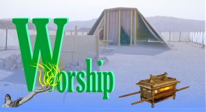 Picture courtesy: (1)http://upload.wikimedia.org/wikipedia/commons/f/fa/R  %C3%A9plica_del_Arca_de_la_Alianza--1.JPG(2) ttp://commons.wikimedia.org/wiki/File:Tabernacle_timna.jpg