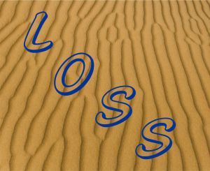 Loss