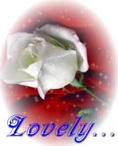 Rose courtesy: Iona Maria-Trukey