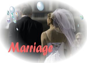 Picture Courtesy : CorelDRAW X6 Library