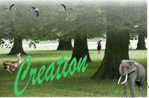 Creation
