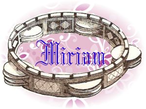 Tambourine Courtesy : http://upload.wikimedia.org/wikipedia/commons/a/a0/Deff_-_Tambourine%2C_p._579_in_Thomson%2C_1859.jpg