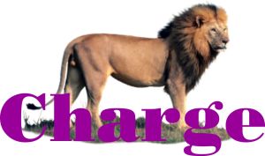 Background Picture Courtesy - CorelDRAW X6 library