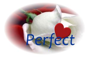 PerfectNT