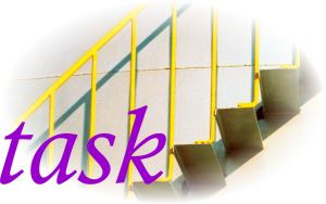 Task