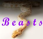 BeastsNT