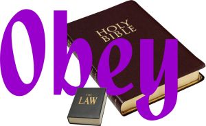 ObeyNT