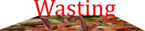 Wasting
