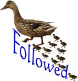 FollowedNT