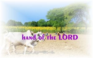 Background courtesy: CorelDraw Library