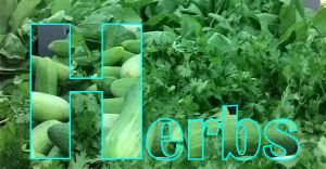 Herbs
