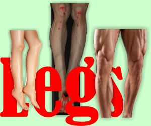 Legs
