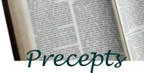 Precepts