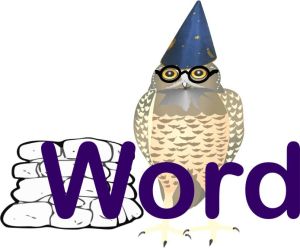 WordWise