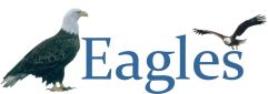 Eagles