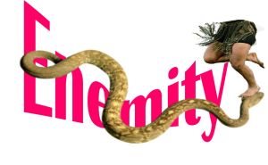 Enemity