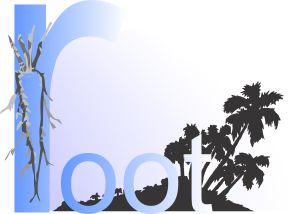 root