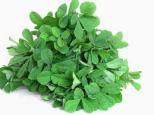 fenugreekleaves