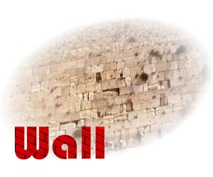 wallnt
