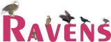 ravens